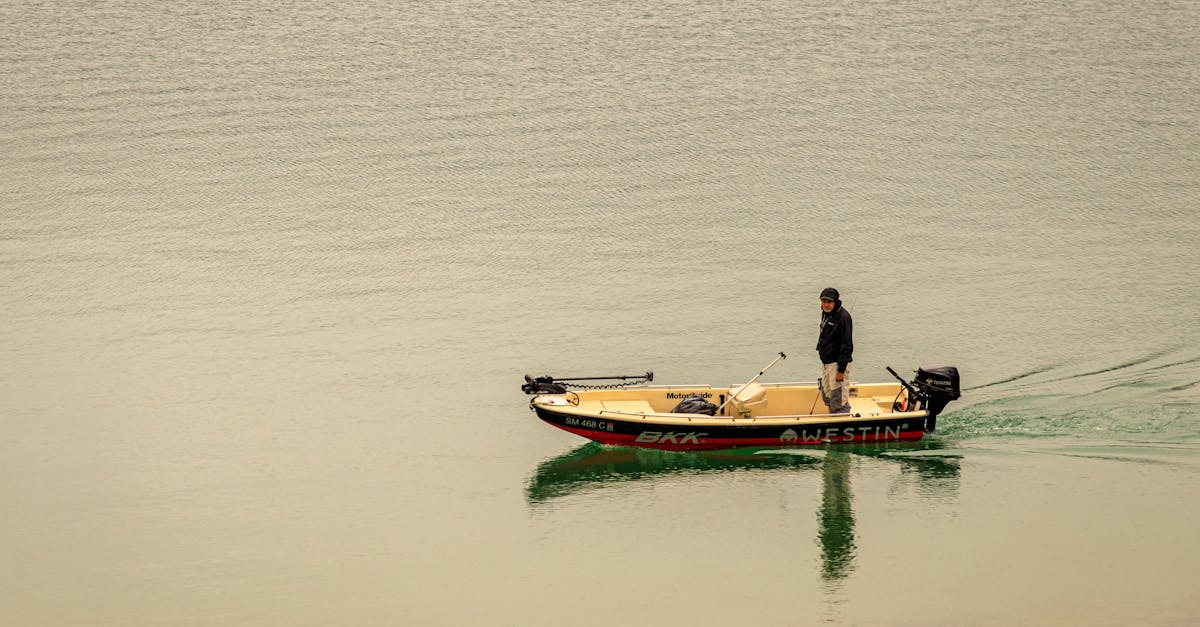 discover everything you need to know about saas (software as a service): benefits, key features, and how it revolutionizes business operations. explore top examples and trends in cloud-based software solutions.